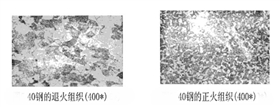 40鋼的退火組織與正火組織