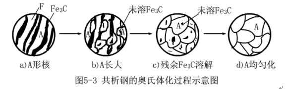 共析鋼奧氏體化轉變圖